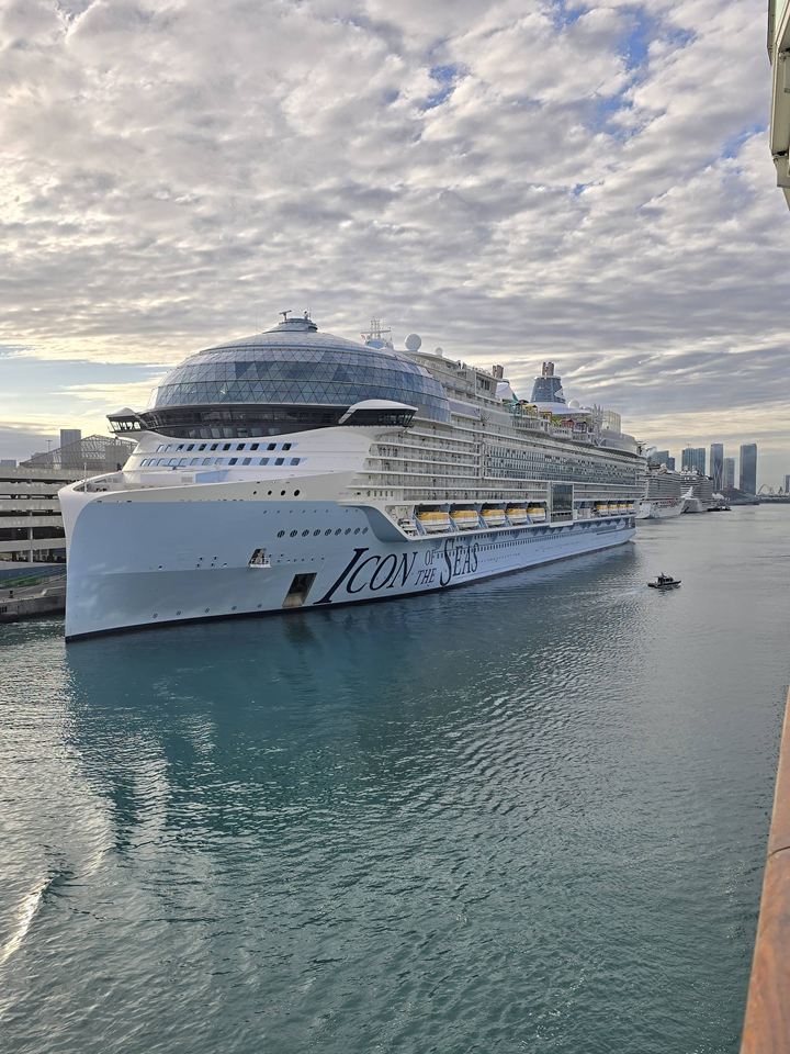 Icon of the Seas docked in port